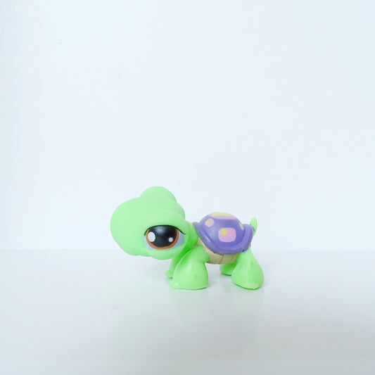 Lps 566 Turtle