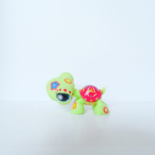 Lps 1009 Postcard Turtle