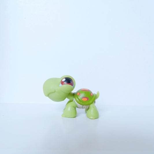 Lps 8 turtle