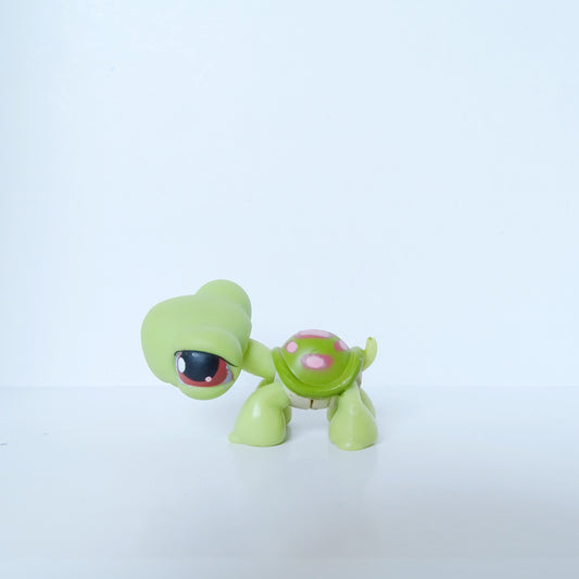 Lps 7 turtle