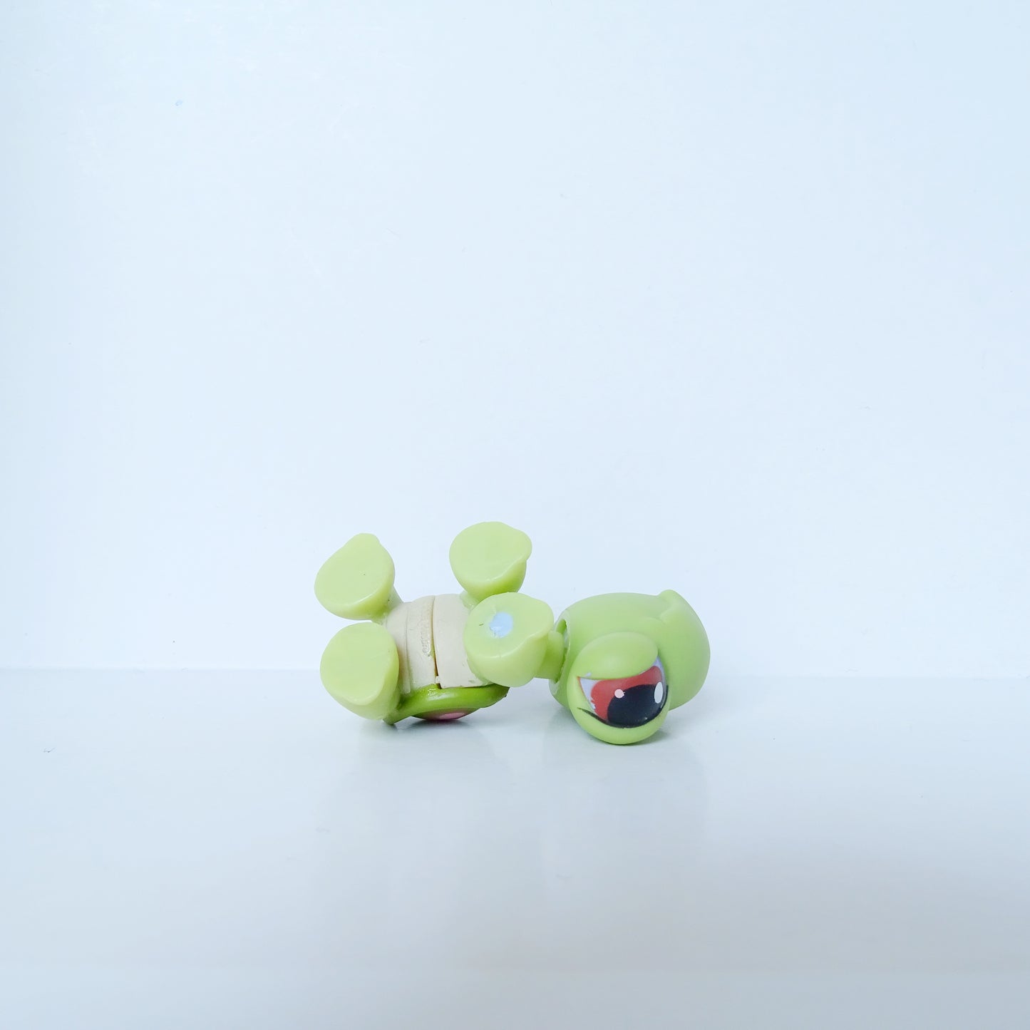 Lps 7 turtle