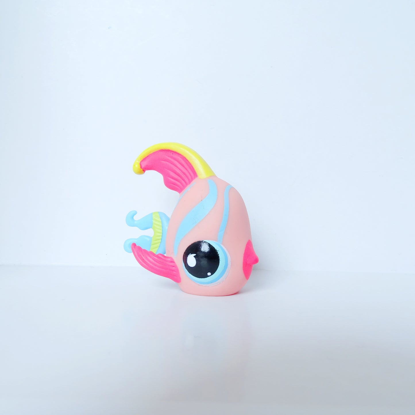Lps  643 Angelfish