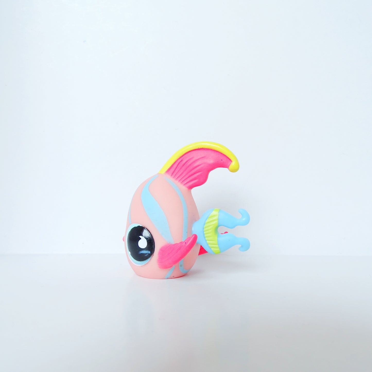 Lps  643 Angelfish