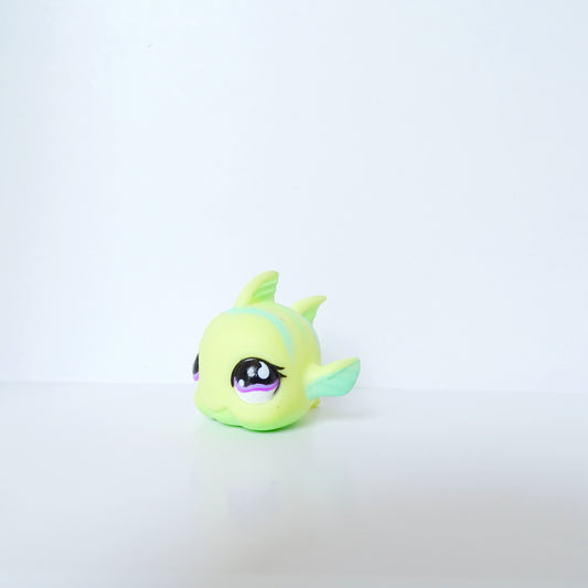 Lps 519 Fish