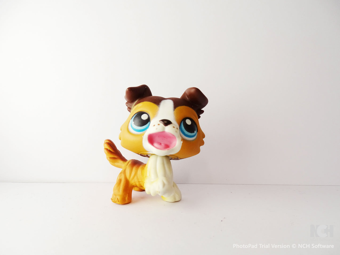 Lps 237 Collie