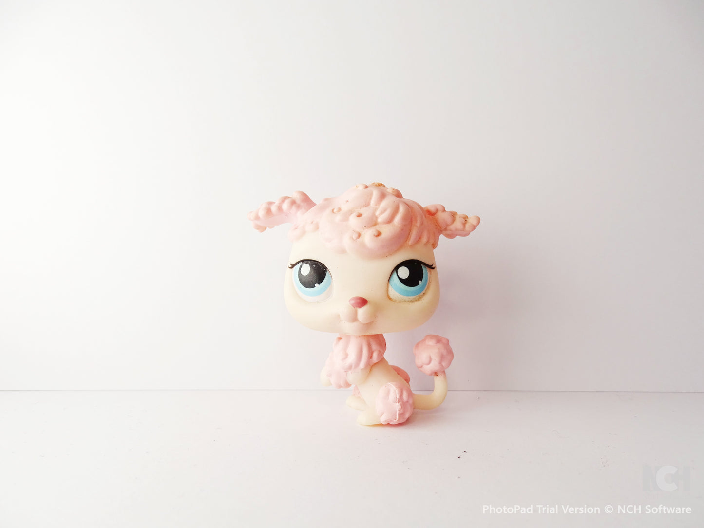 Lps 48 Poodle
