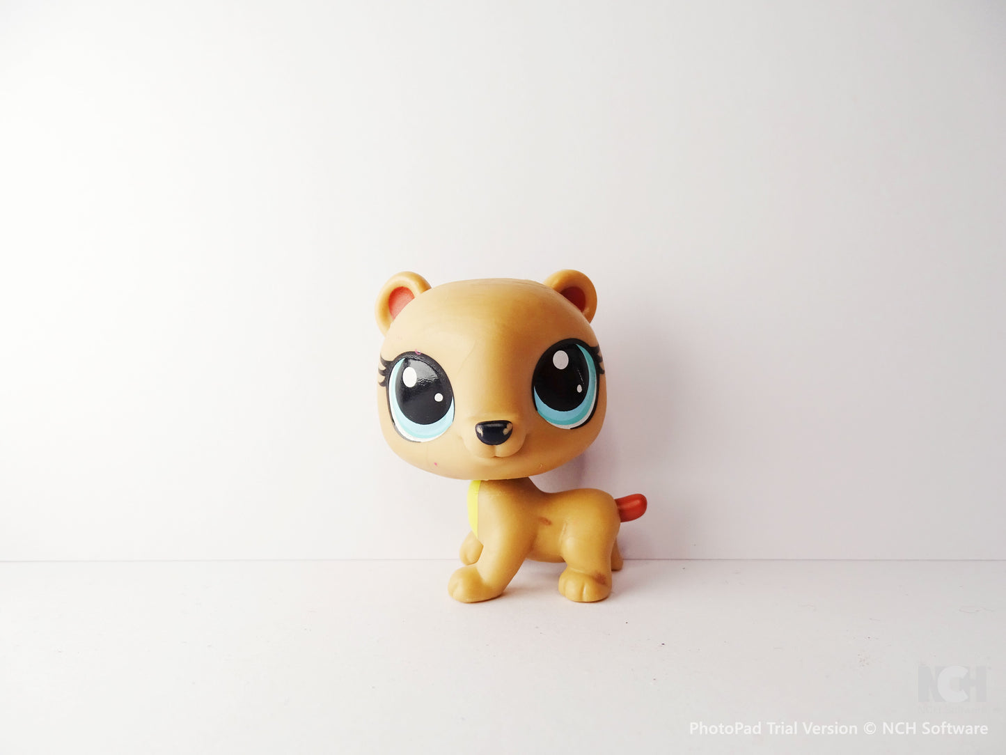 Lps Bear