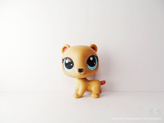 Lps Bear