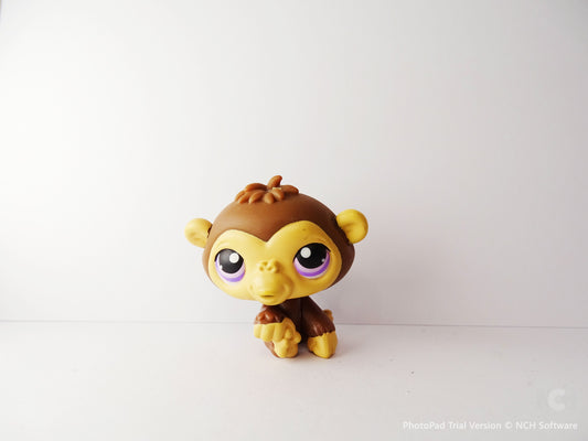 Lps 223 Chimpanzee