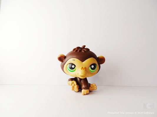 Lps 233 Chimpanzee