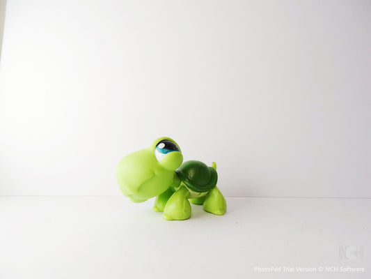 Lps 187 turtle