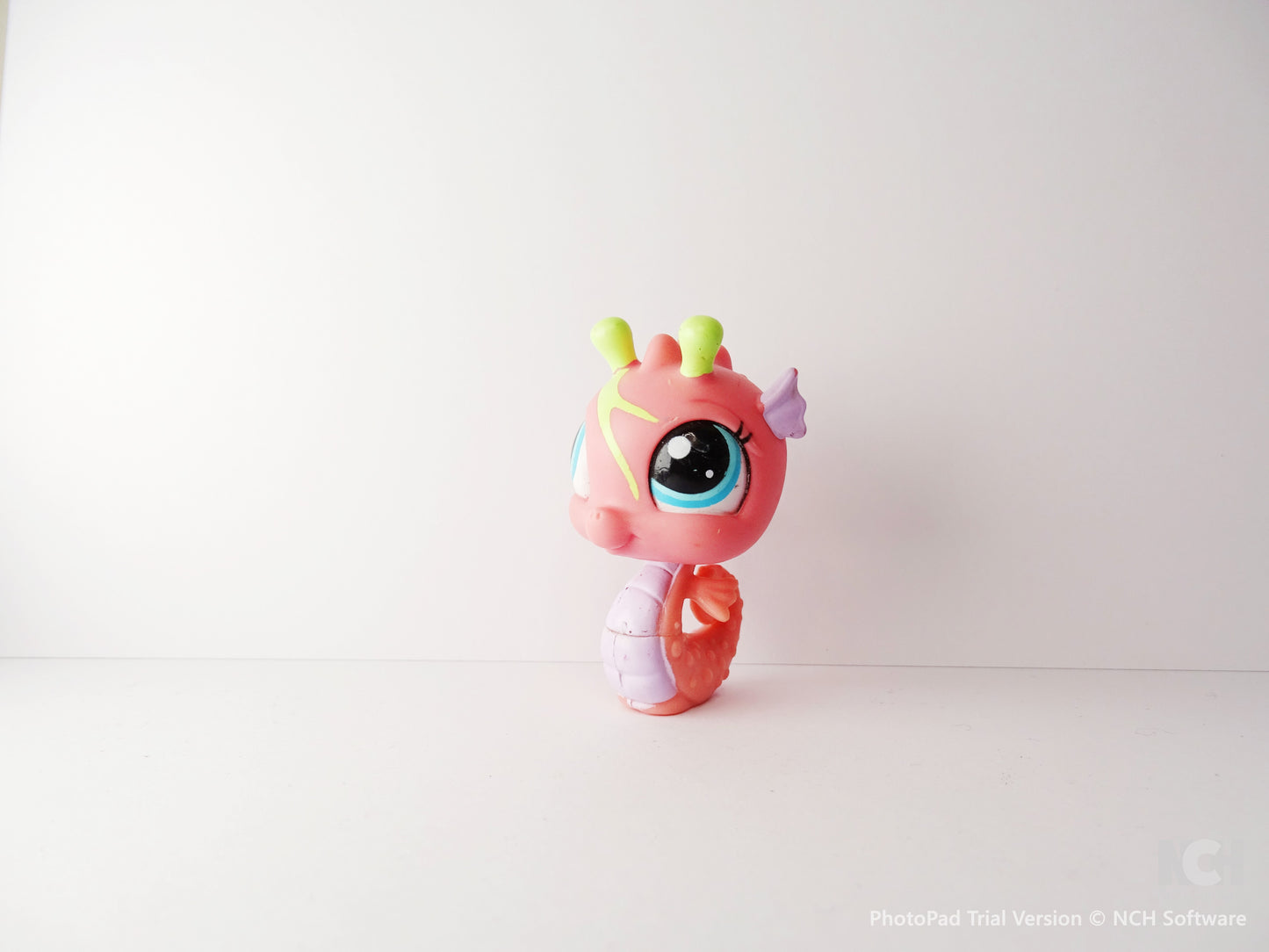 Lps 1731 Seahorse