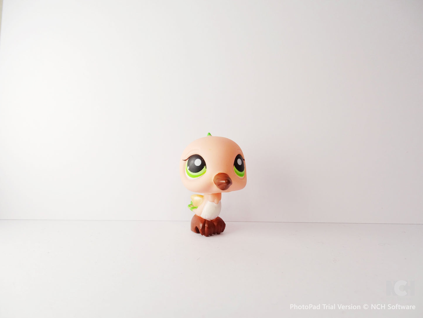 Lps 343 Hummingbirds