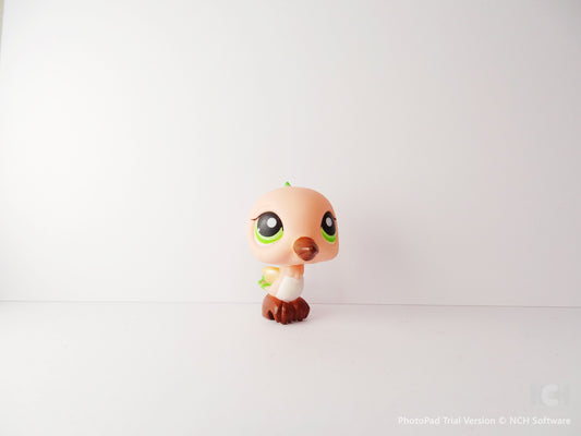 Lps 343 Hummingbirds