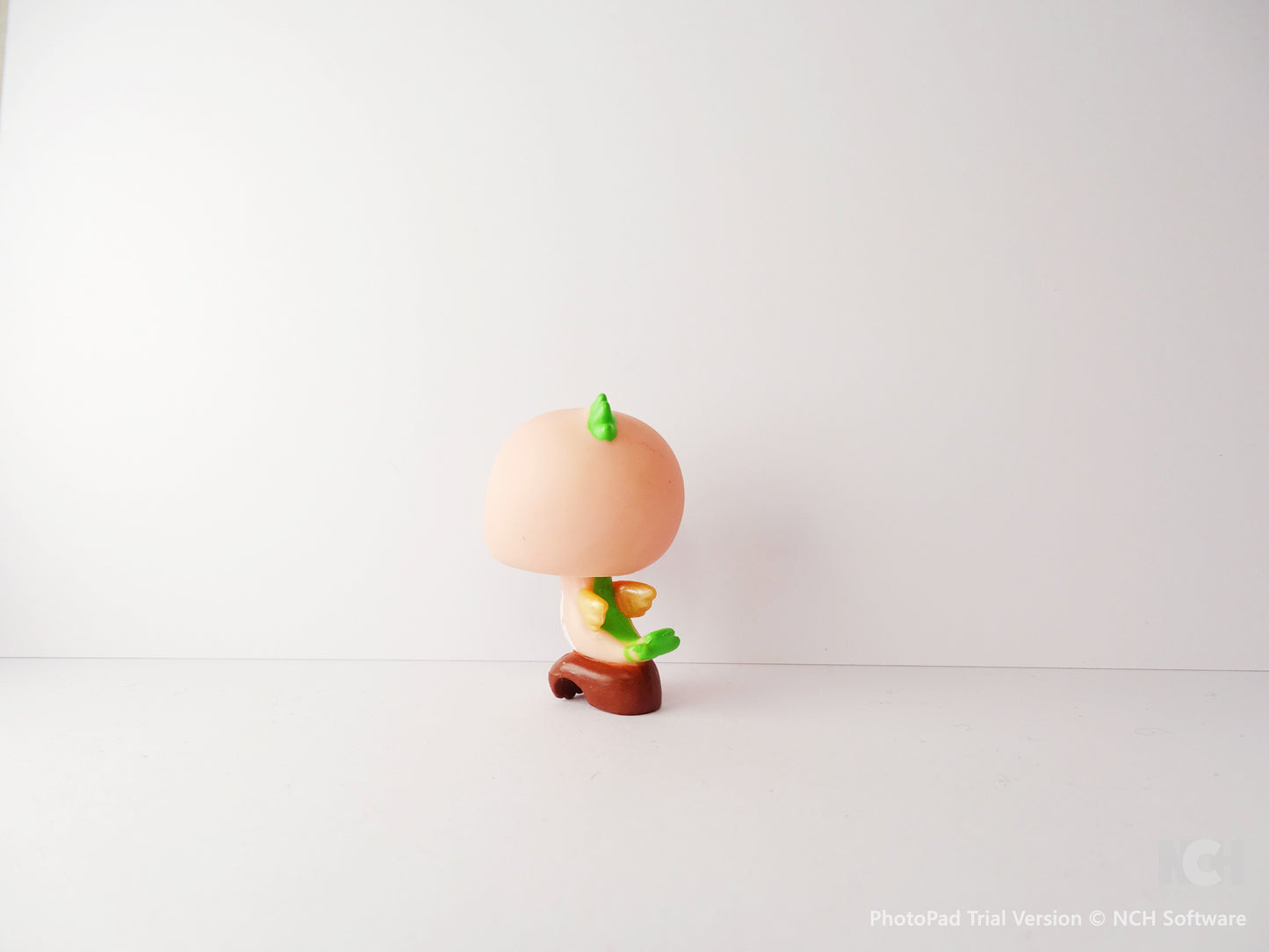 Lps 343 Hummingbirds