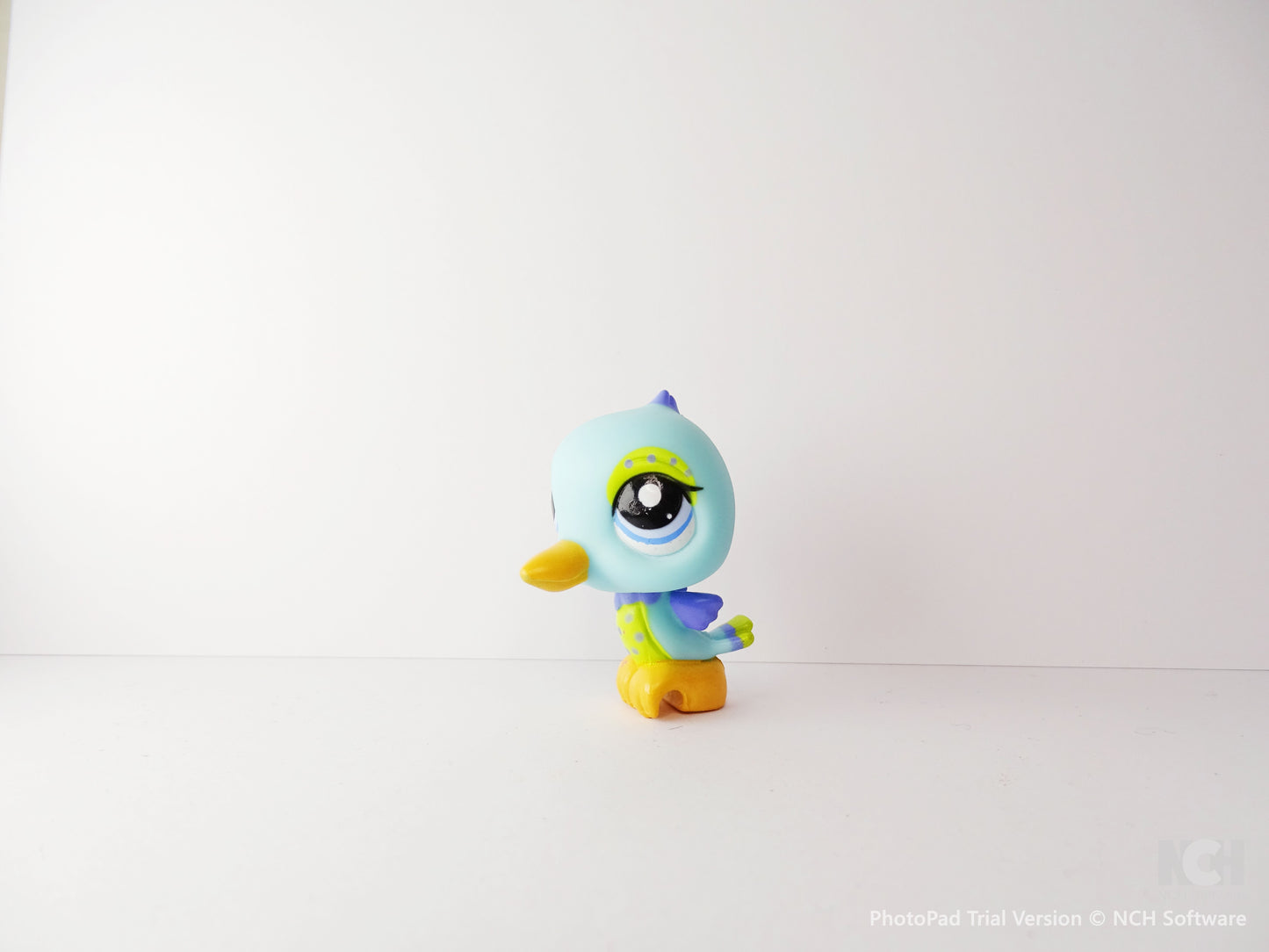 Lps 2144 Hummingbird