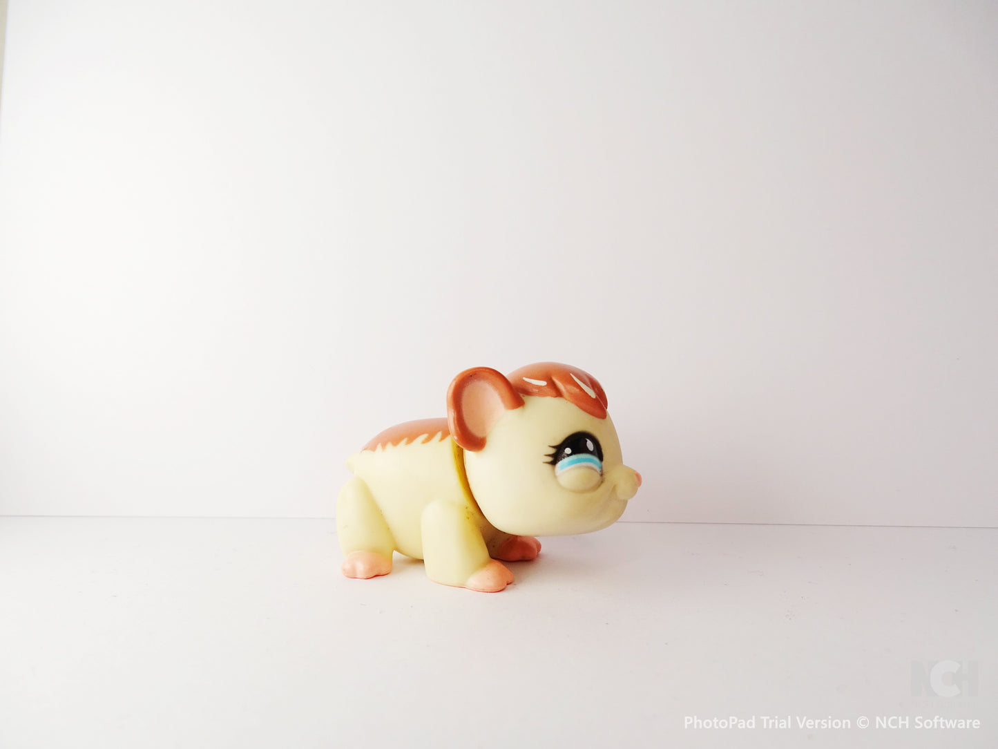 Lps 683 Guinea Pig