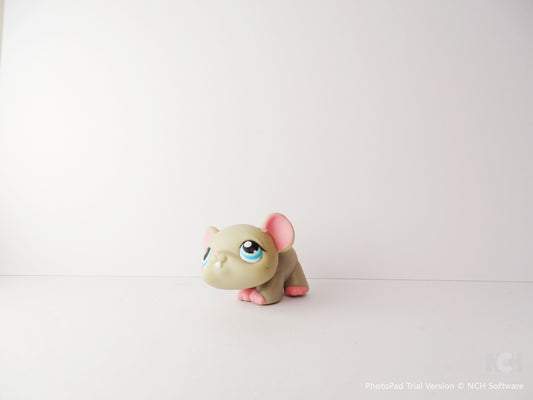 Lps 80 Mouse