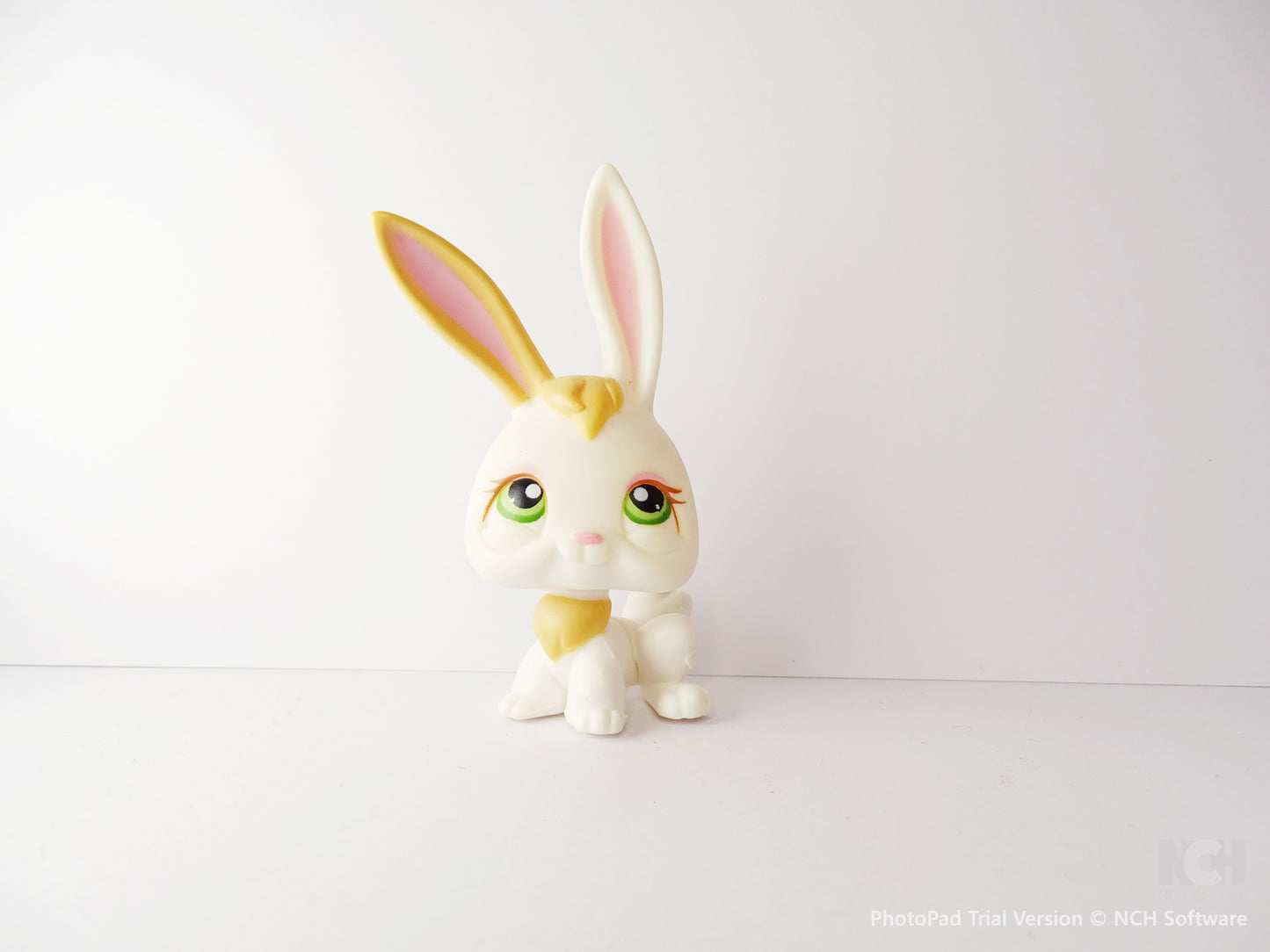 Lps 322 rabbit