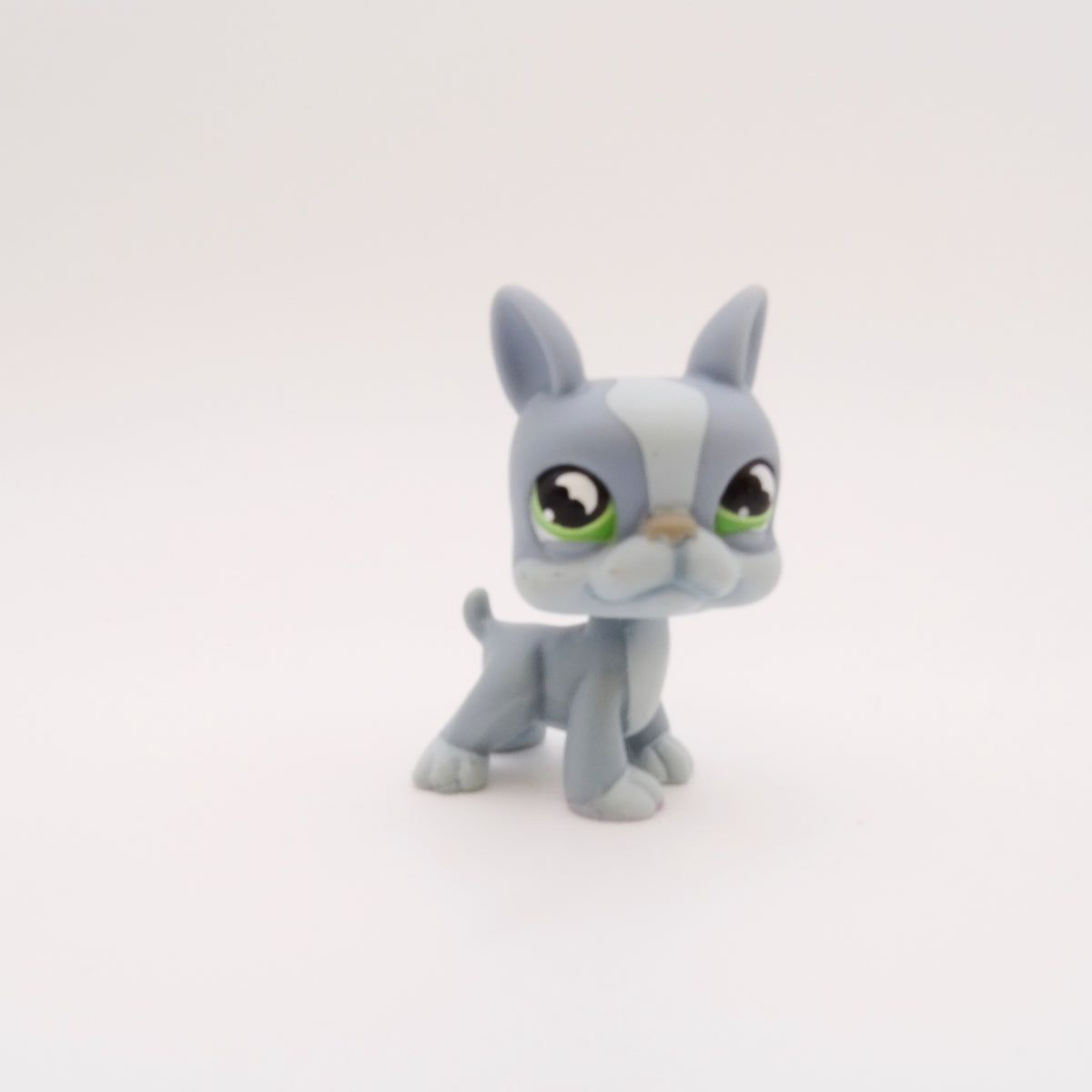 Lps 857 Boston Terrier