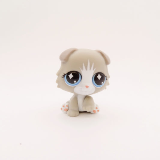 Lps G7 #229 Scottish Fold Kitten