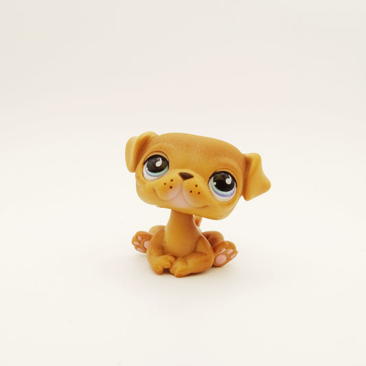 Lps 786/901 Pug