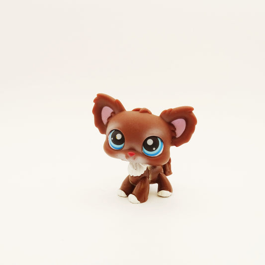 Lps 219 Chihuahua