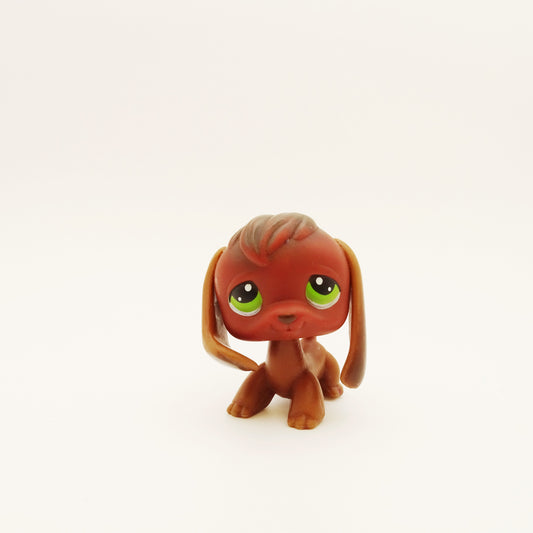 Lps 77 Beagle
