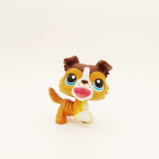 Lps 237 Collie