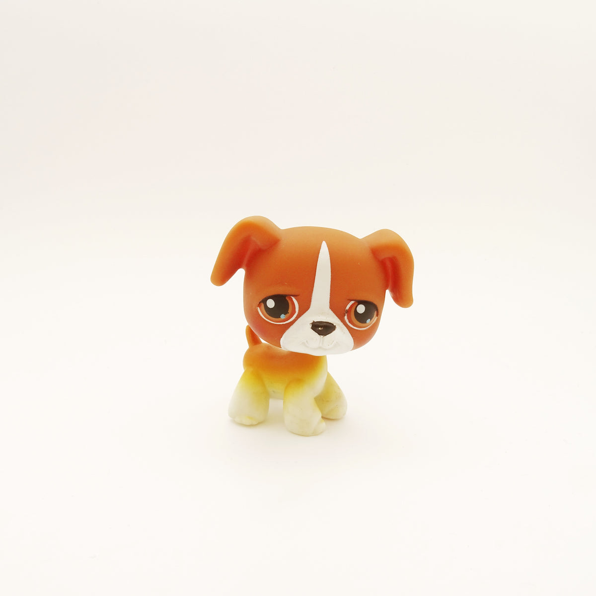 Lps 25 Boxer