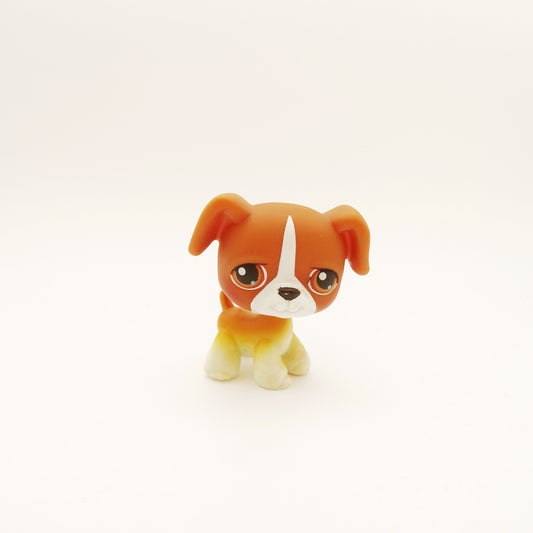 Lps 25 Boxer