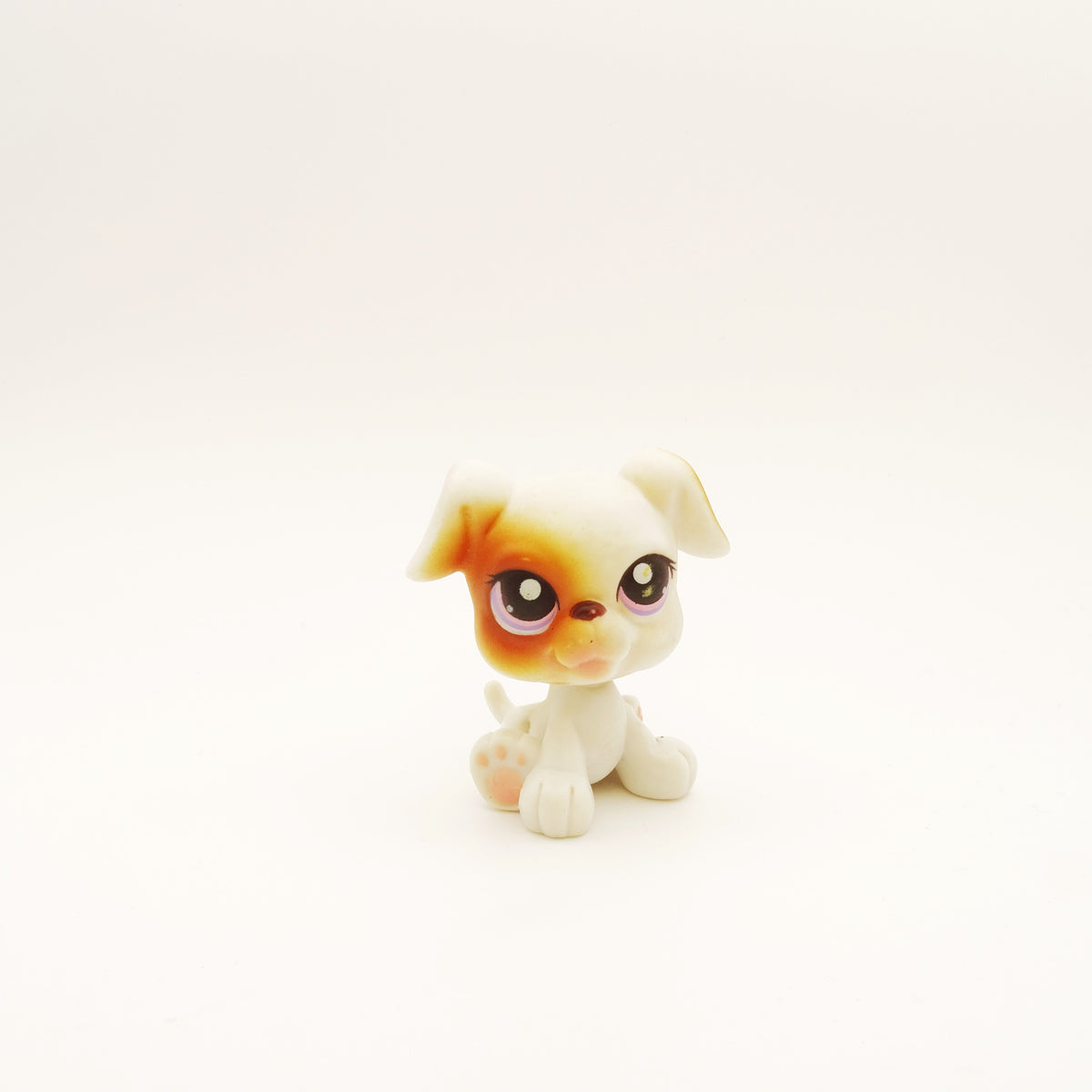 Lps 84 Boxer