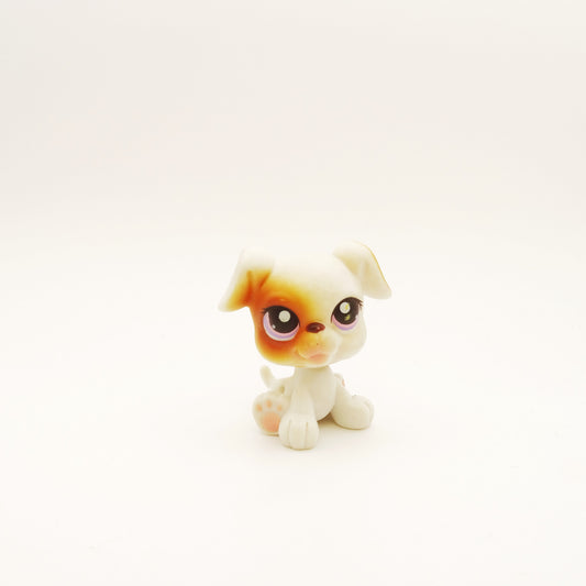 Lps 84 Boxer