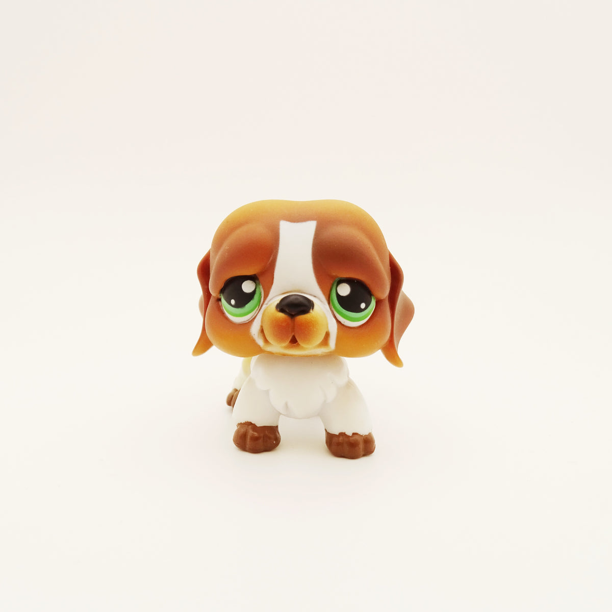 Lps 335 St. Bernard