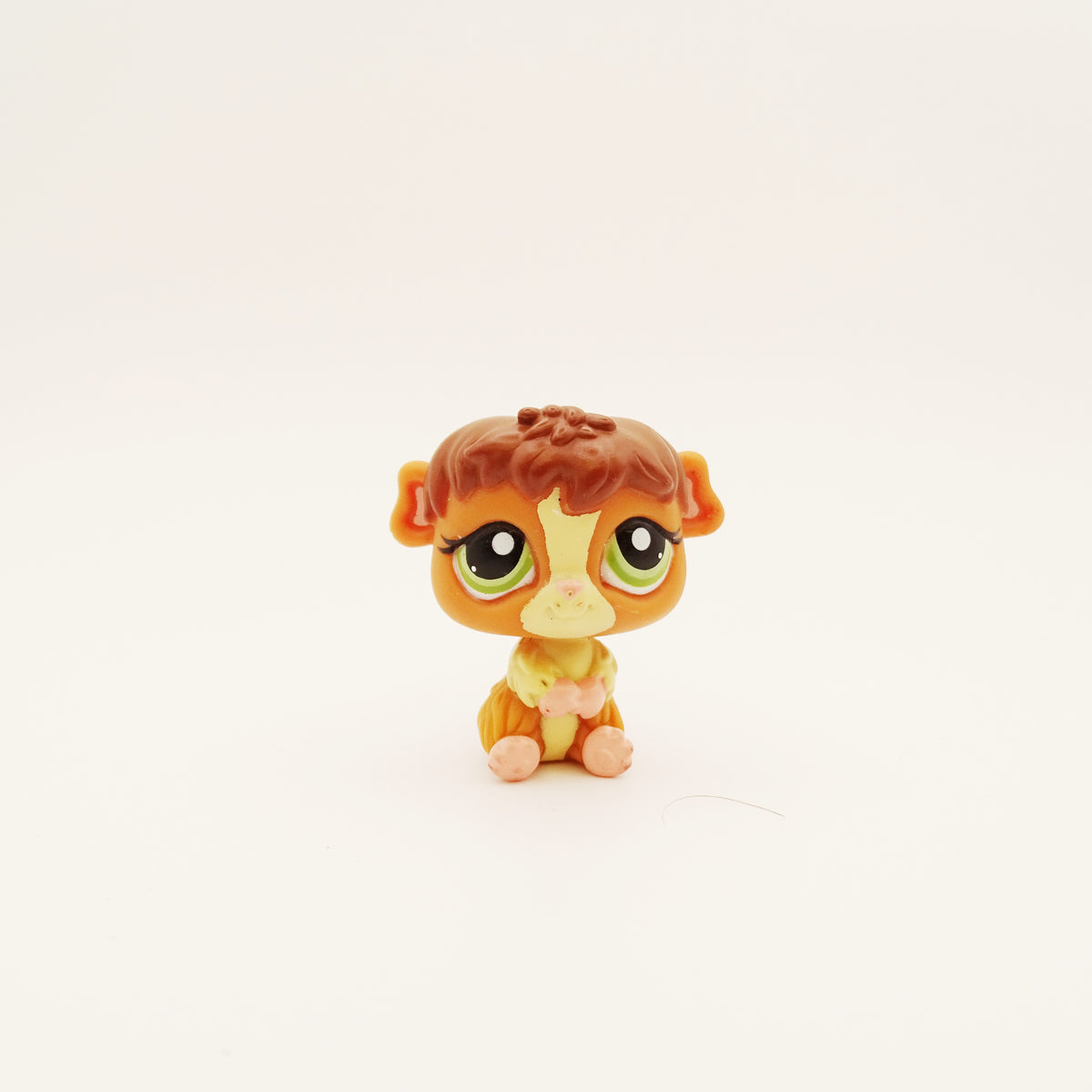 Lps 2148 Guinea Pig