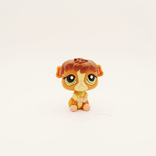 Lps 2148 Guinea Pig