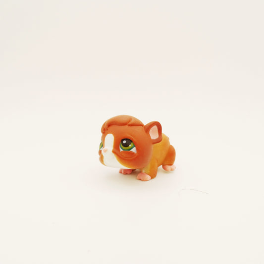 Lps 4 Guinea Pig