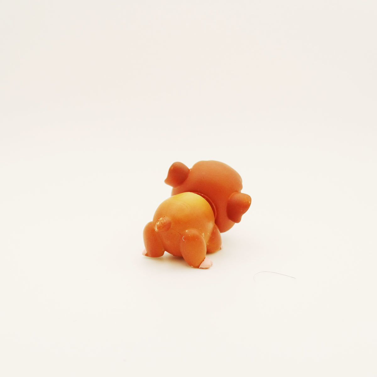 Lps 4 Guinea Pig