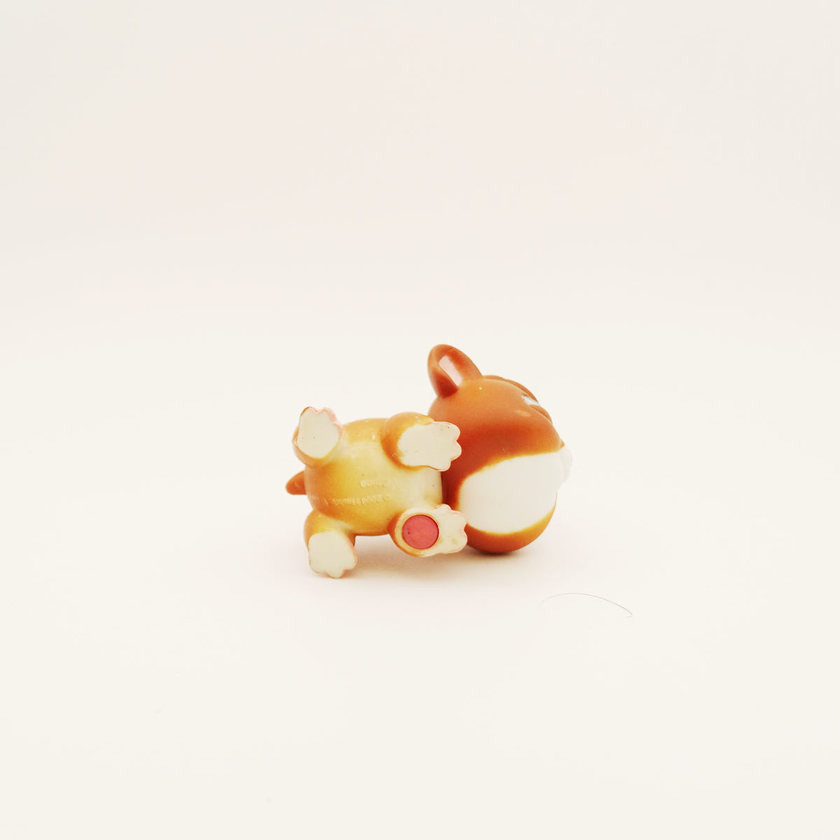 Lps 4 Guinea Pig