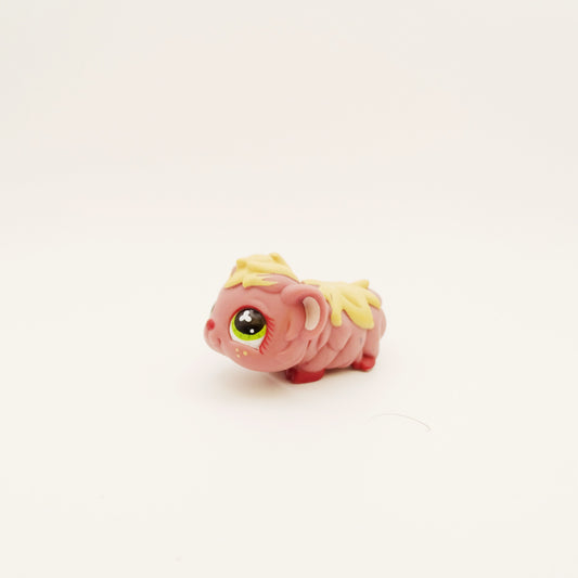 Lps 510 Guinea Pig