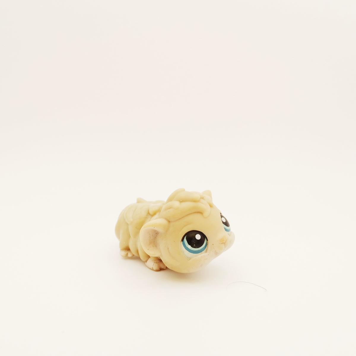 Lps 157 Guinea Pig