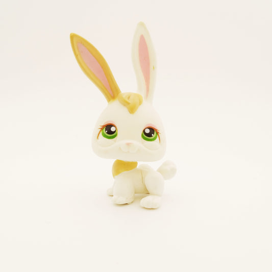 Lps 322 rabbit