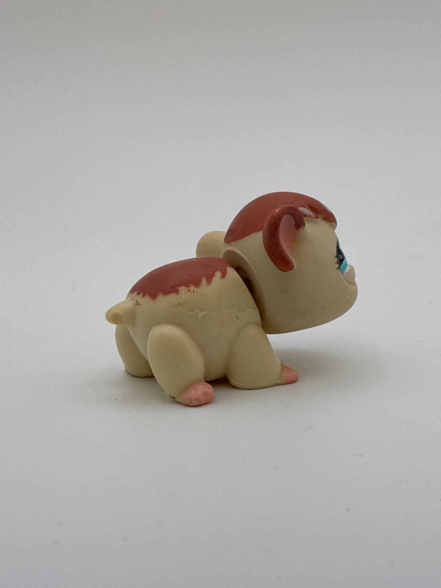 Lps 683 Guinea Pig
