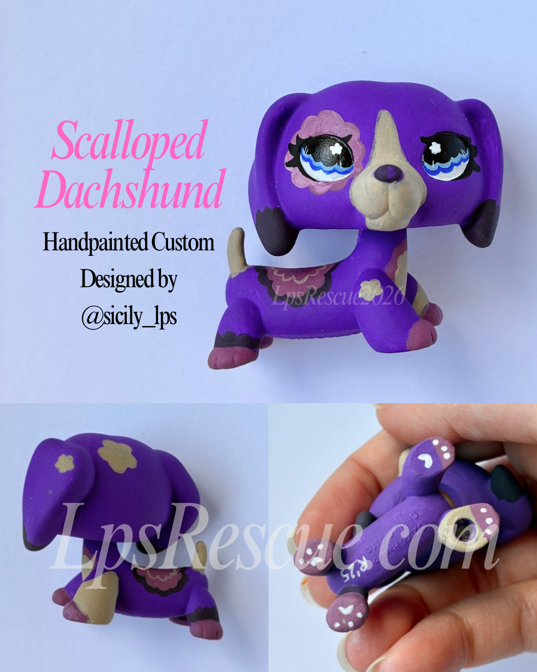 Scalloped Dachshund Custom