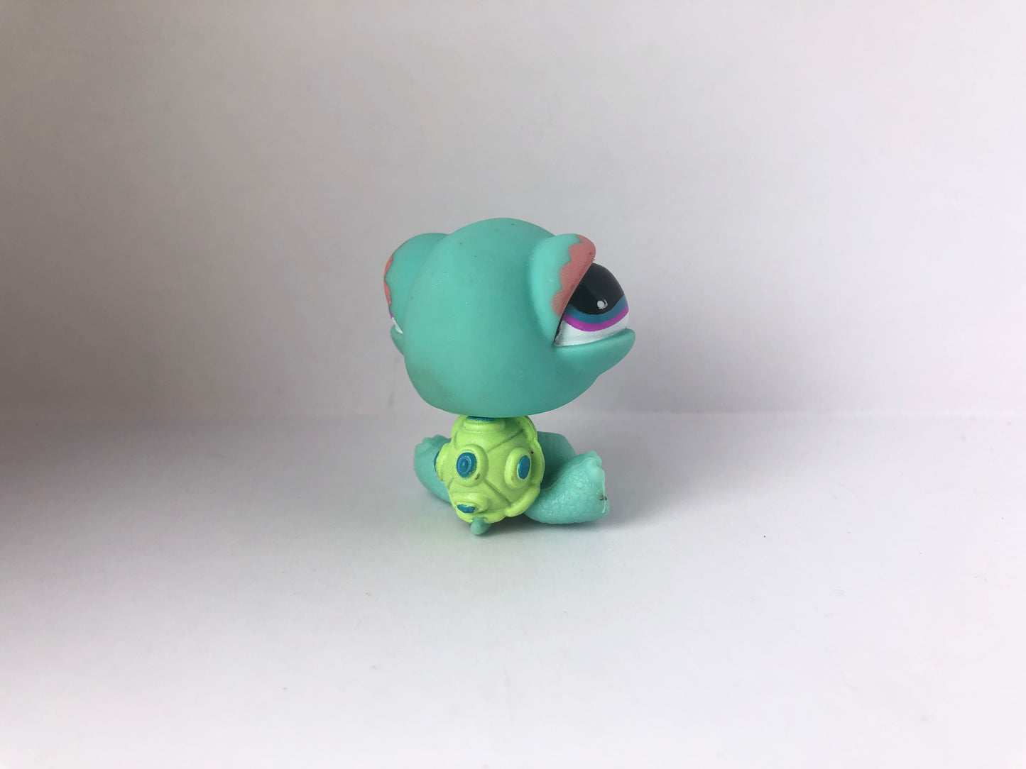 Lps 522 Turtle