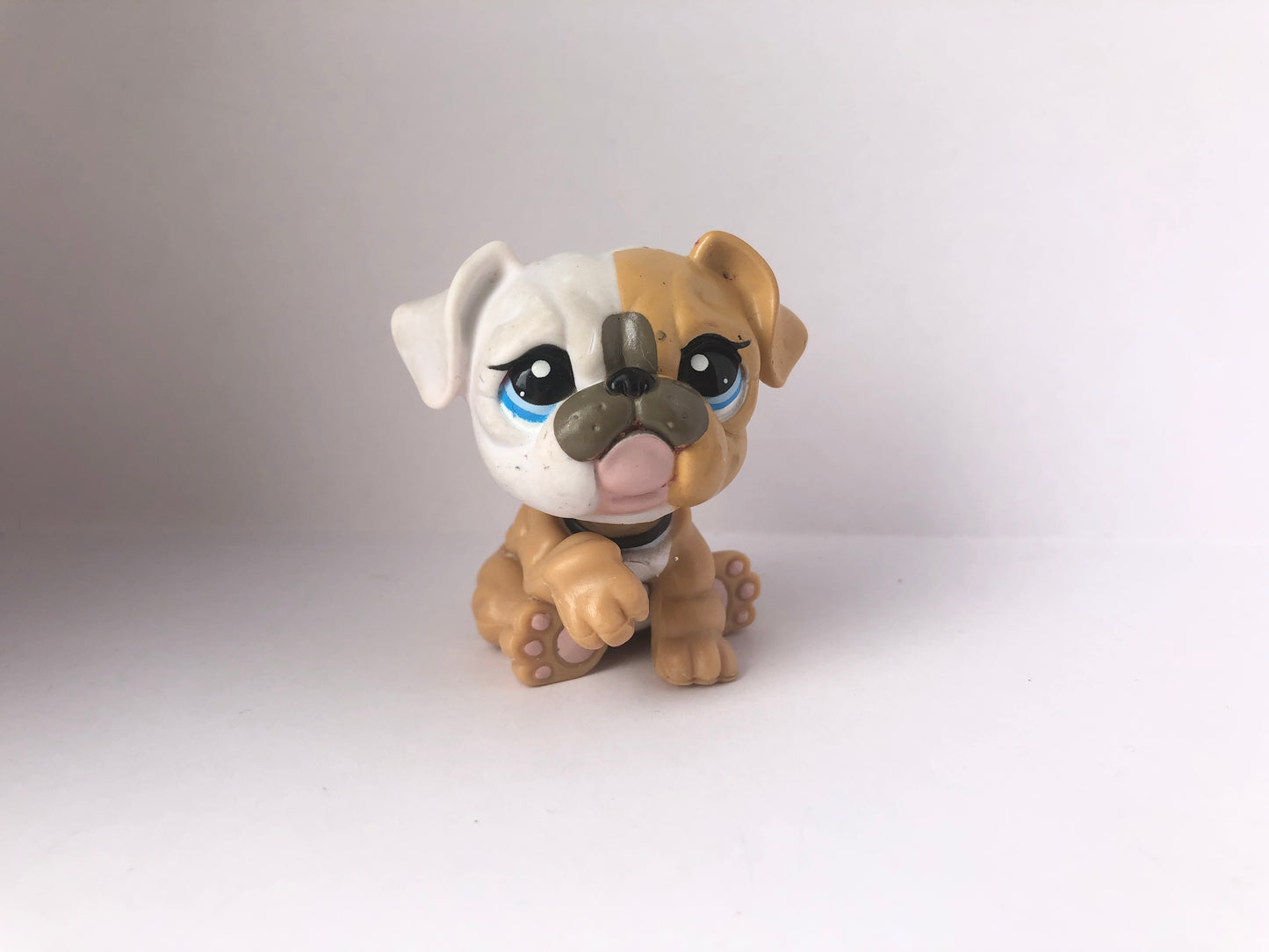 Lps 3587 Bulldog