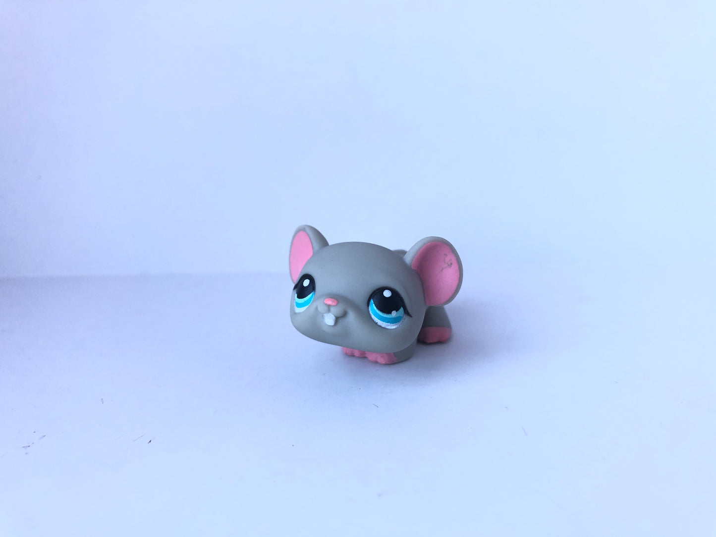 Lps 80 Mouse