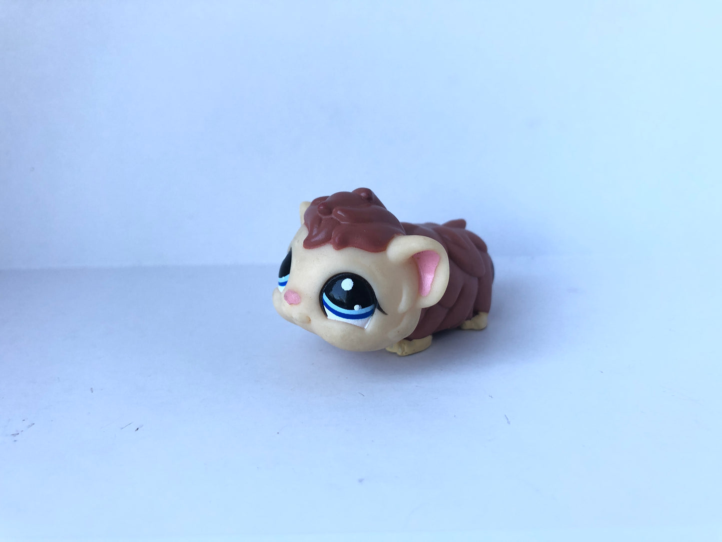 Lps 1668 Guinea Pig