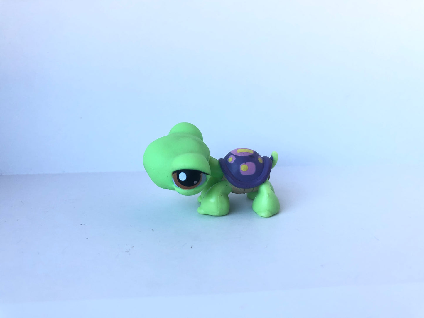 Lps 566 Turtle