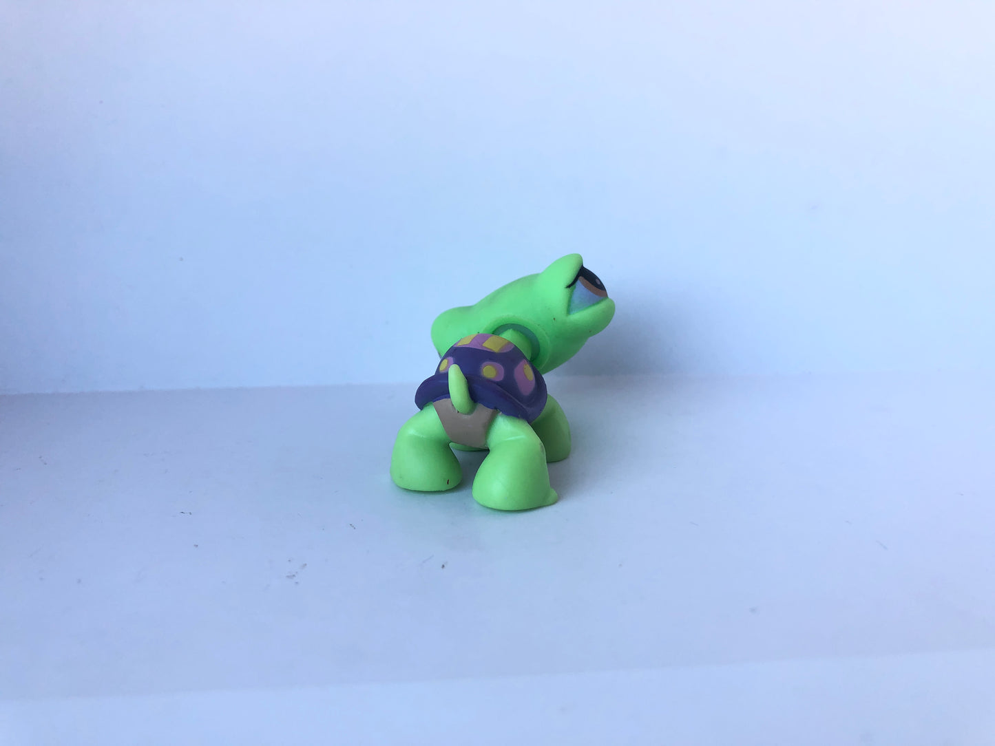 Lps 566 Turtle